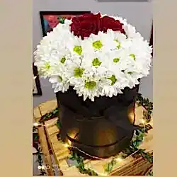 Kutuda 3 Gül ve Papatya