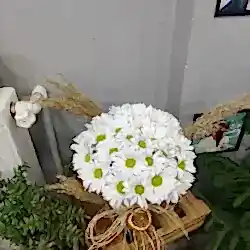 Seramik Vazo Papatya