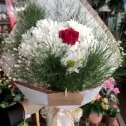 Papatya ve Gül