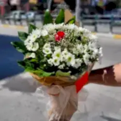 Beyaz Papatya Ortasında Tek Kırmızı Gül Buketi